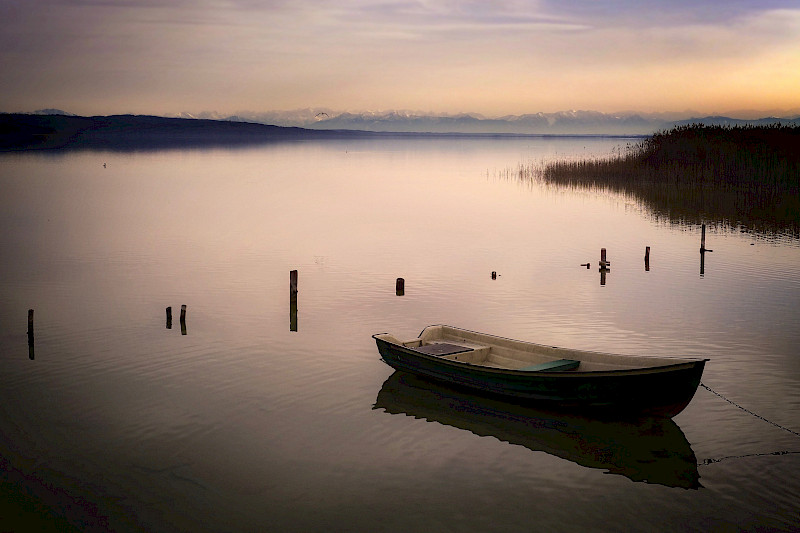 Ammersee Breitbrunn Leben